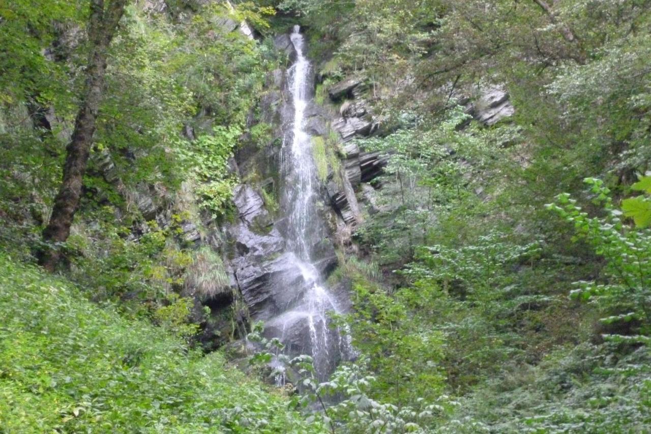 Ferienhaus Wasserfall Bestwig Dış mekan fotoğraf